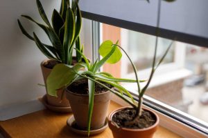 5 Questions You Need To Ask Your Replacement Window Company